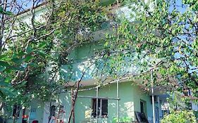 Green House